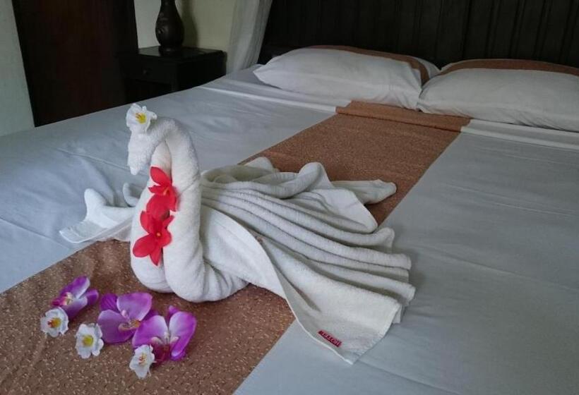 פנסיון Barracuda Beach Hostel