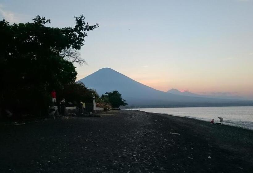 פנסיון Barracuda Beach Hostel