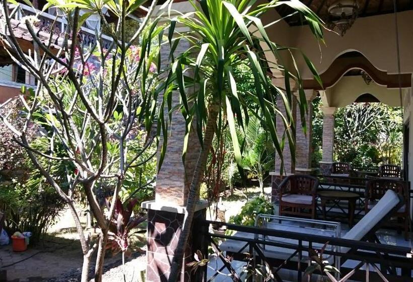 פנסיון Barracuda Beach Hostel