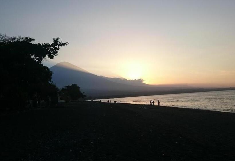 פנסיון Barracuda Beach Hostel