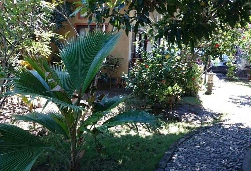 פנסיון Barracuda Beach Hostel