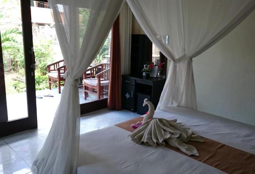 פנסיון Barracuda Beach Hostel