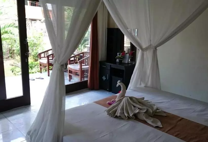Pension Barracuda Beach Hostel
