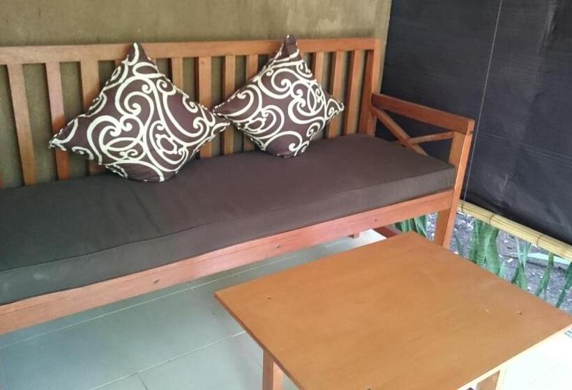 פנסיון Barracuda Beach Hostel