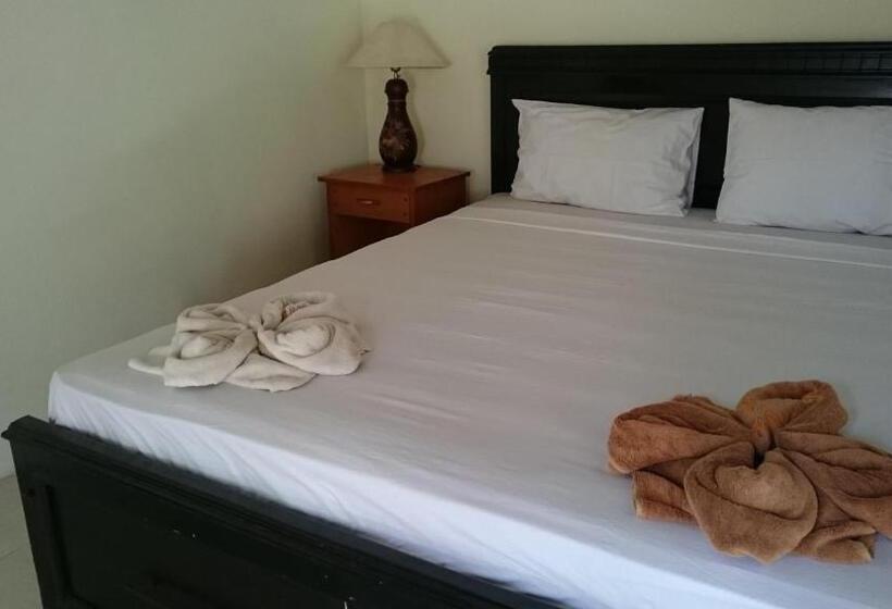 פנסיון Barracuda Beach Hostel