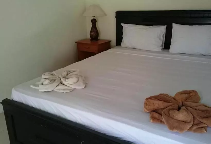 Pension Barracuda Beach Hostel