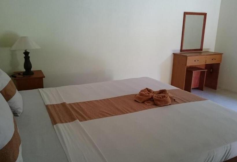 פנסיון Barracuda Beach Hostel