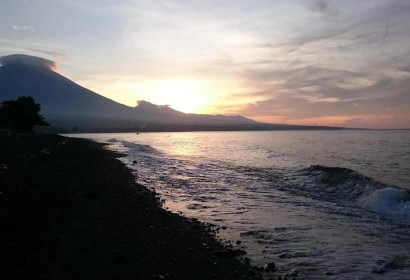 פנסיון Barracuda Beach Hostel