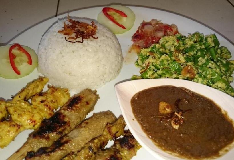 פנסיון Barracuda Beach Hostel