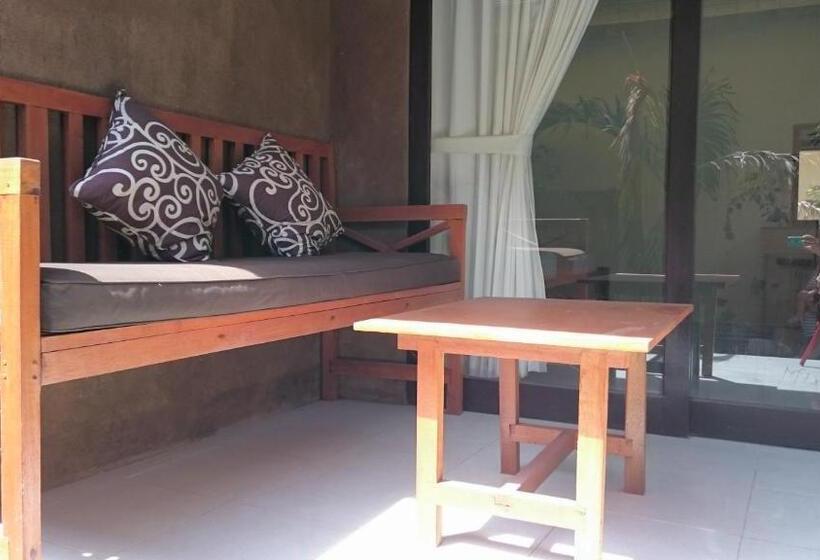 פנסיון Barracuda Beach Hostel