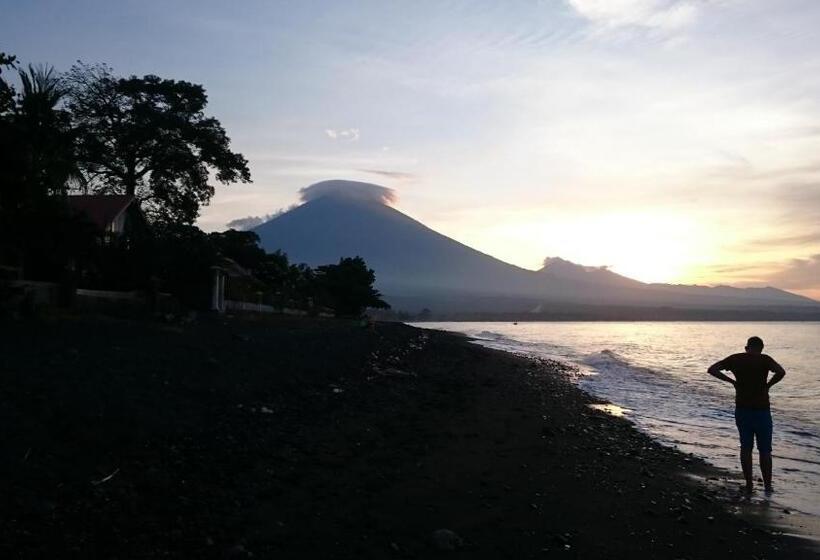 פנסיון Barracuda Beach Hostel