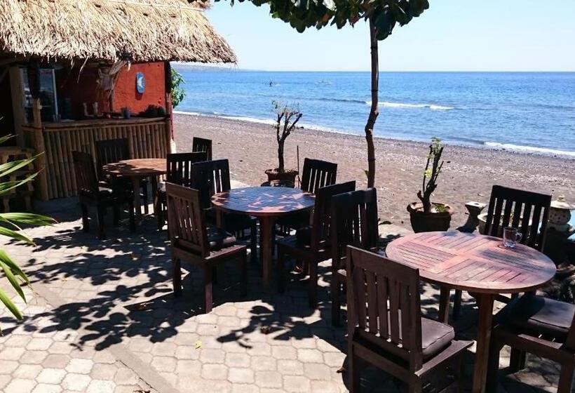 פנסיון Barracuda Beach Hostel