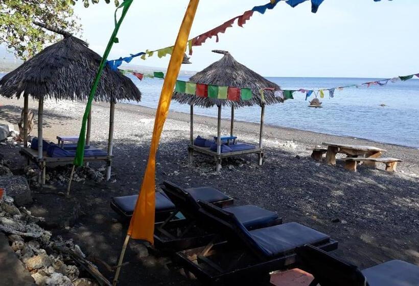 פנסיון Barracuda Beach Hostel