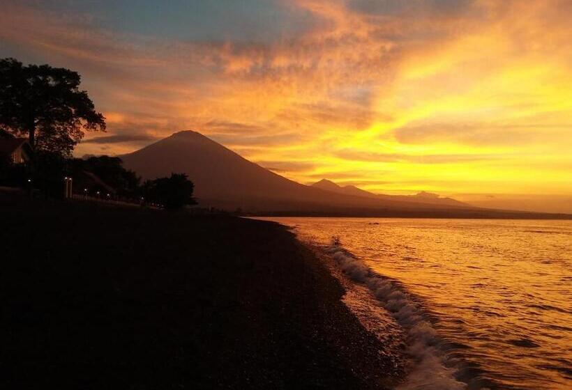 פנסיון Barracuda Beach Hostel