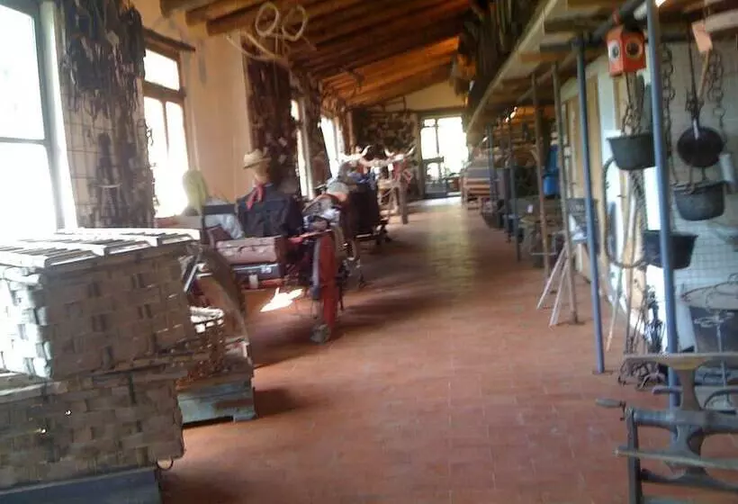 Отель Agriturismo Fattoria Di Castiglionchio