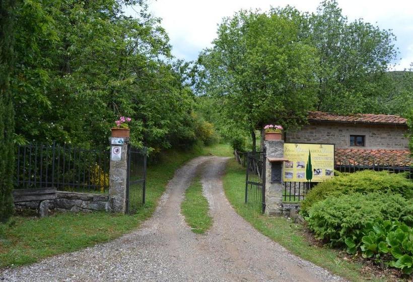 Отель Fattoria Il Praticino