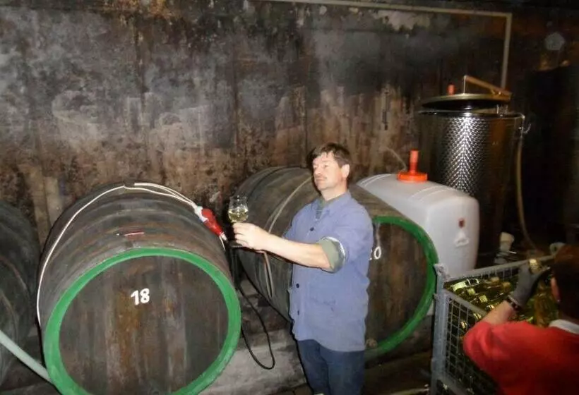 בית מלון כפרי Gästehaus Weingut  Fröhliches Weinfass