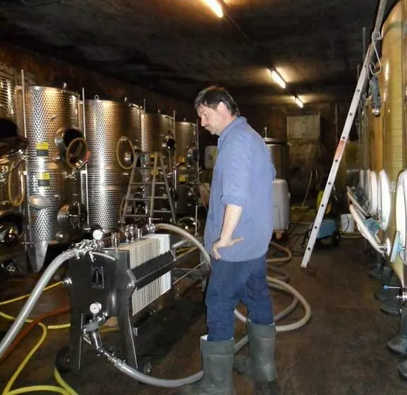 בית מלון כפרי Gästehaus Weingut  Fröhliches Weinfass