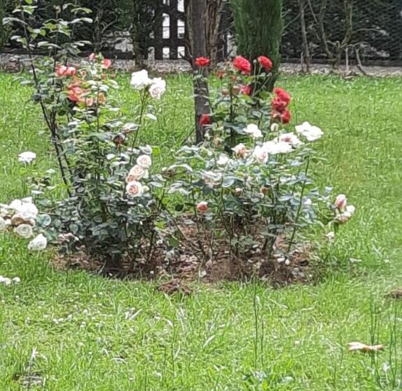 בית מלון כפרי Hostellerie De La Roseraie