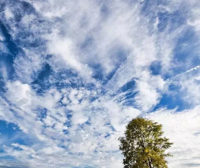 Отель Logis Hôtel & Restaurant Arcombelle