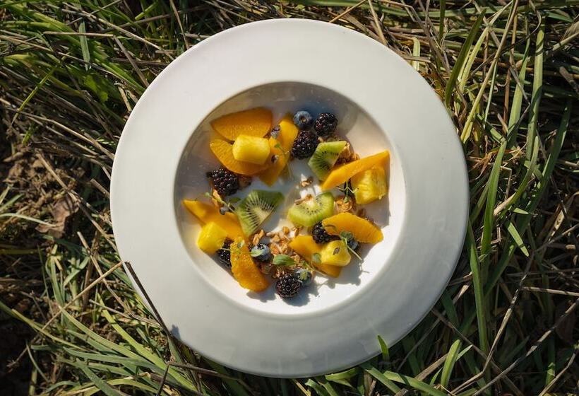 בית מלון כפרי Piajo Resort