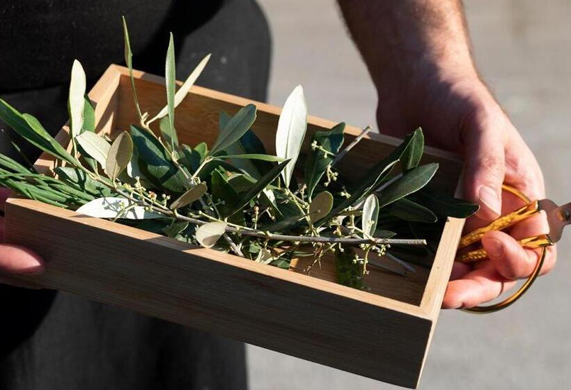 בית מלון כפרי Piajo Resort