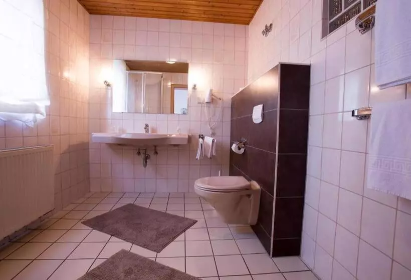 Отель Rhein Ahr