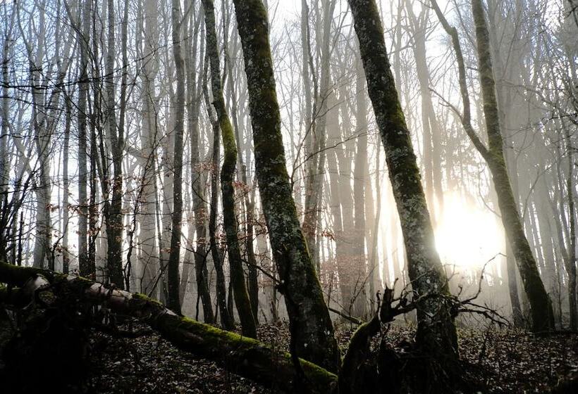 Sturm Bio  & Wellnesshotel In Der Rhön