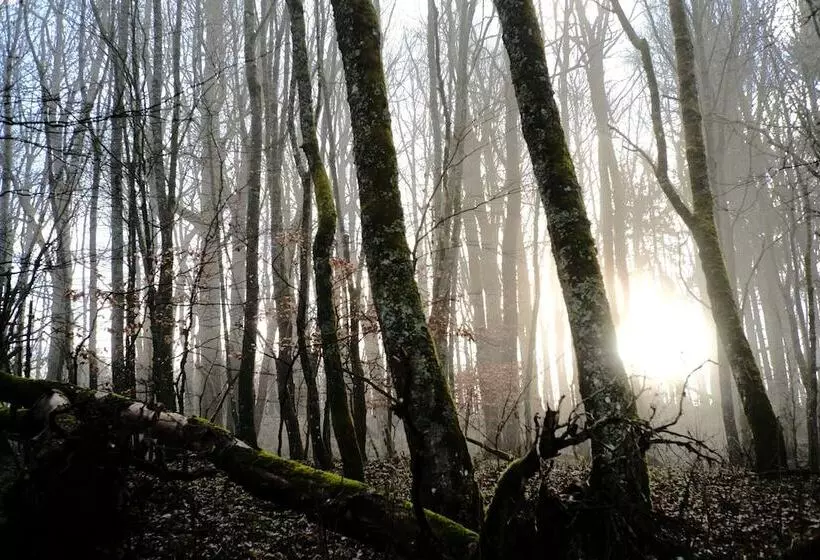 Sturm Bio  & Wellnesshotel In Der Rhön