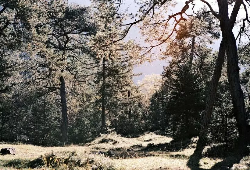 Sturm Bio  & Wellnesshotel In Der Rhön