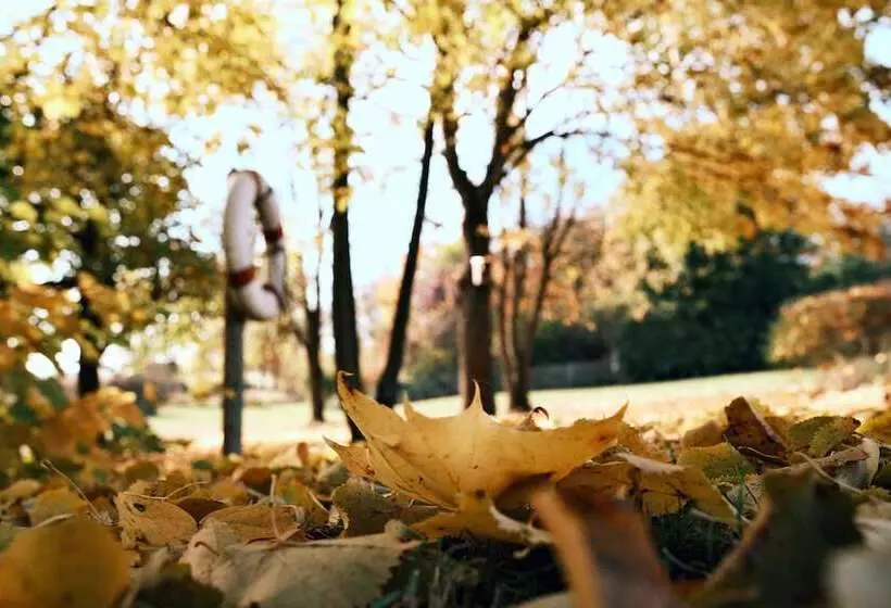 Sturm Bio  & Wellnesshotel In Der Rhön