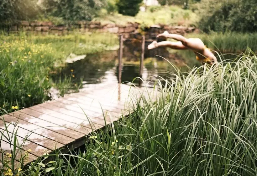 Sturm Bio  & Wellnesshotel In Der Rhön