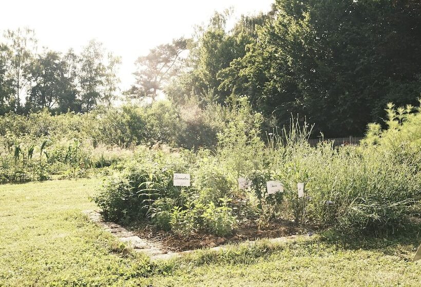 Sturm Bio  & Wellnesshotel In Der Rhön