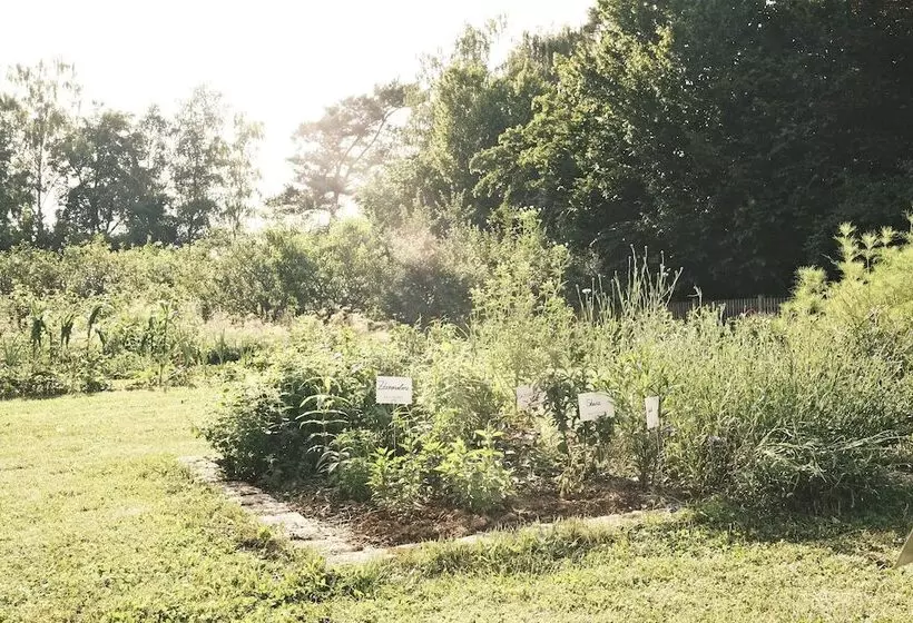 Sturm Bio  & Wellnesshotel In Der Rhön