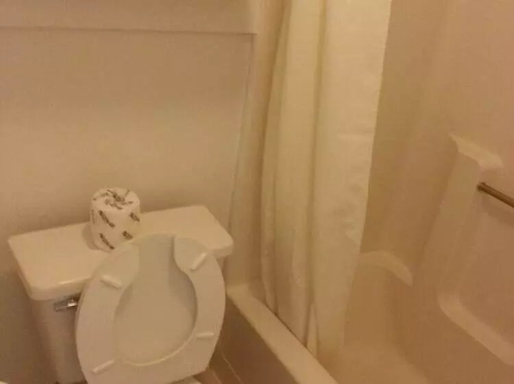 汽车旅馆  Americas Best Value Inn Lincoln