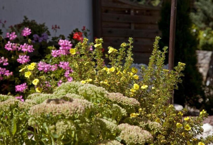 膳宿费 Gasthof Huber