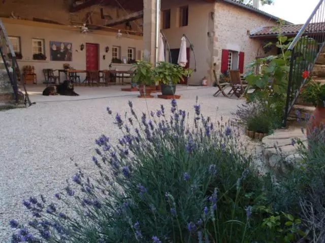 Aamiaismajoitus (B&B) Ferme Robin