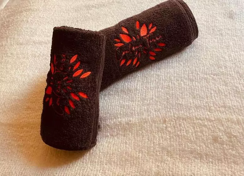 Gite Couleur Terre à 10mn De Gordes