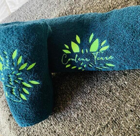 Gite Couleur Terre à 10mn De Gordes