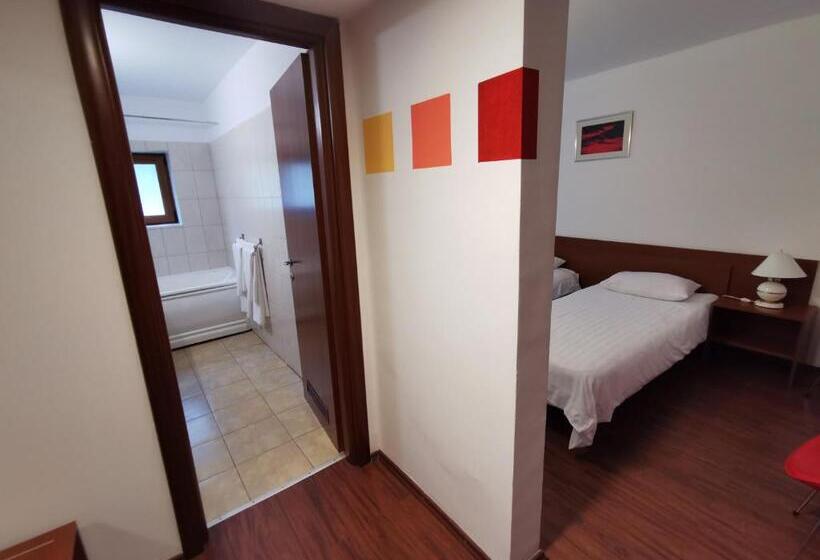 Hotel Timisoara Sannicolau Mare