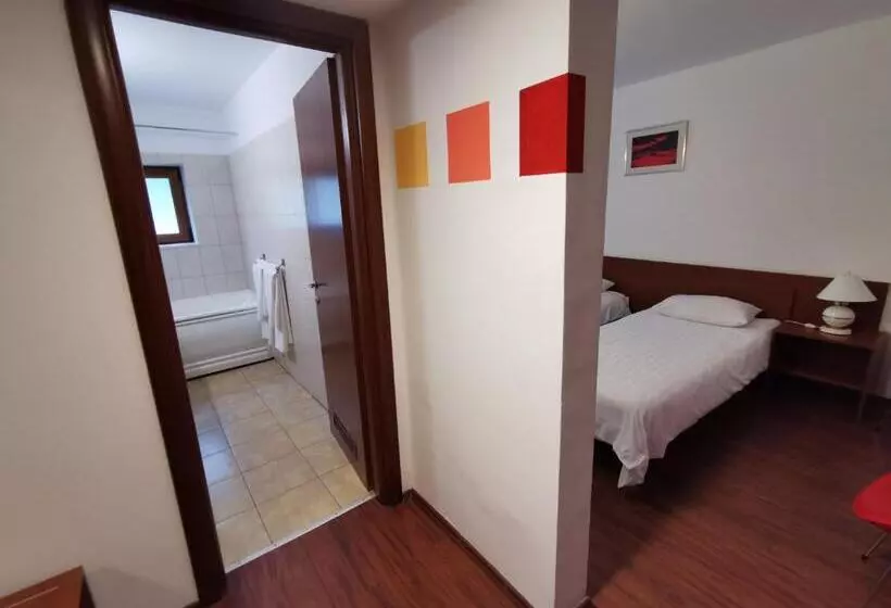 Hotelli Timisoara Sannicolau Mare
