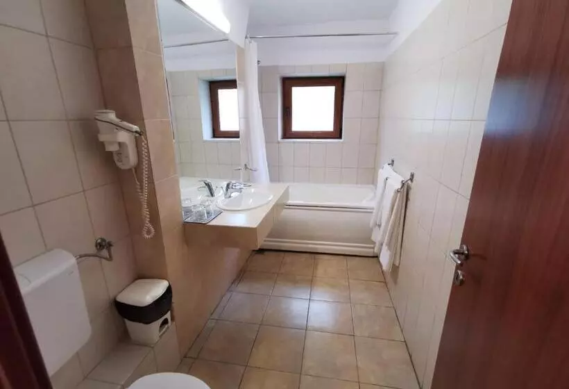 Hotelli Timisoara Sannicolau Mare