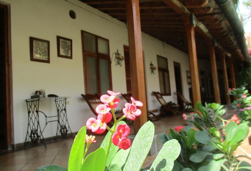 هتل Villa De Mompox
