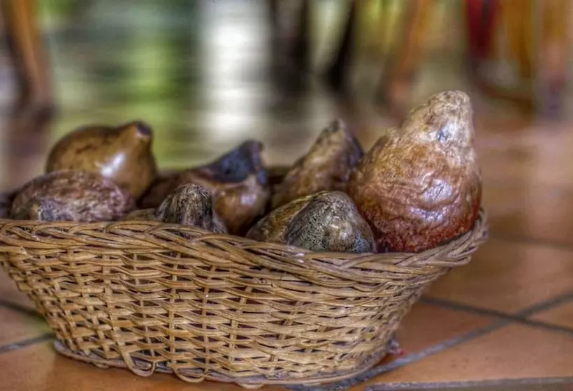 ホテル Villa De Mompox