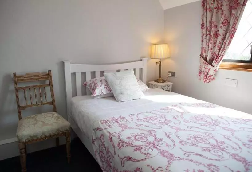 ペンション Fern Lodge Guesthouse