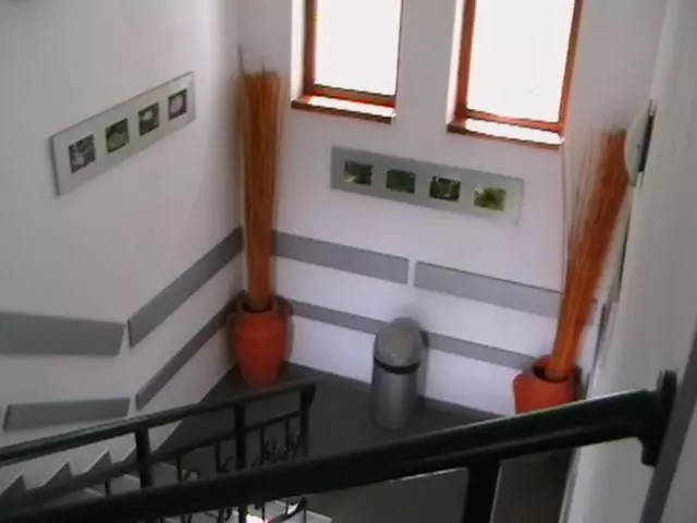 ペンション Rooms For Guests Bakhus