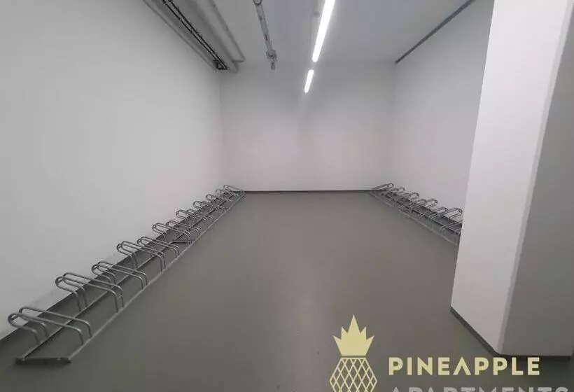 Pineapple Apartments Dresden Altstadt I   117 Qm   1x Free Parking
