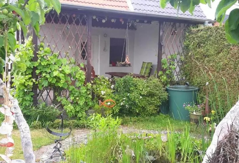 Ferienhaus Libelle Objekt Id 12111 6