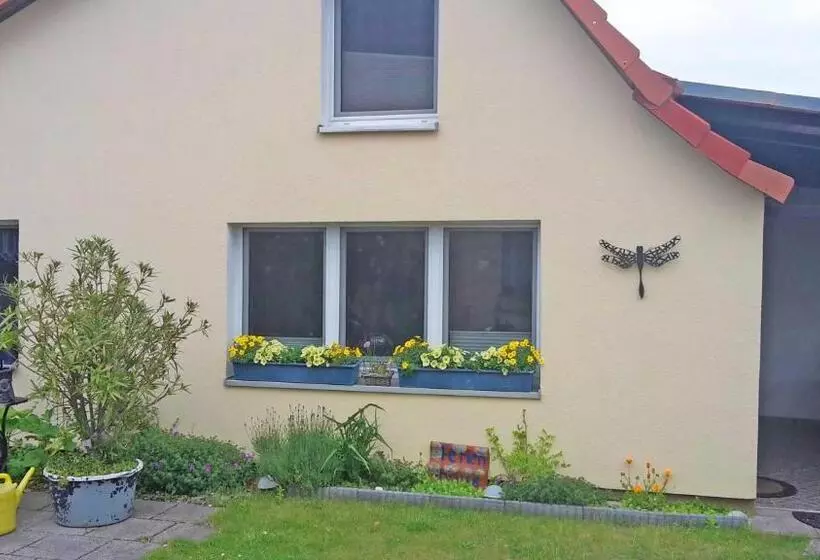 Ferienhaus Libelle Objekt Id 12111 6