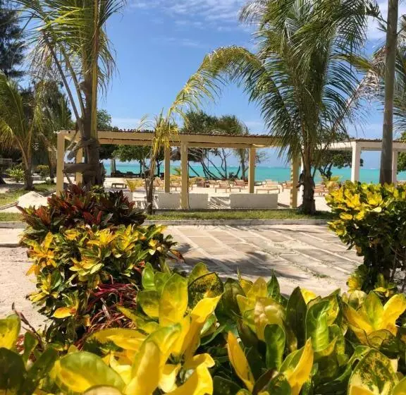 Jambo Beach Hotel Paje